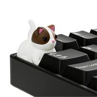 M Mocha